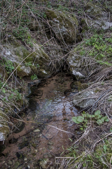 Studnička