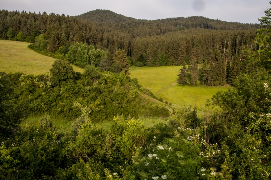 Dolná hôrka