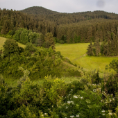 Dolná hôrka