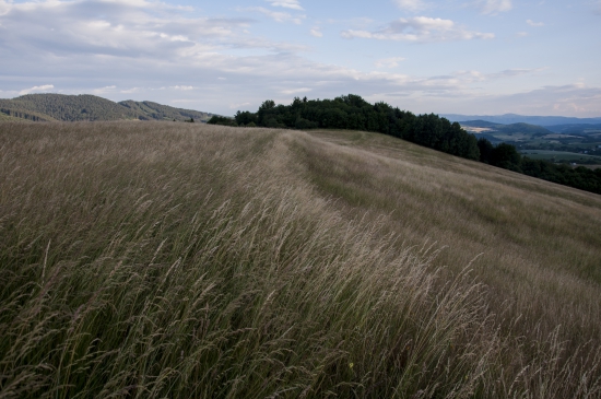 Večerná 