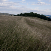 Večerná 