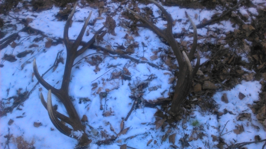 no musim sa pochvalit :)