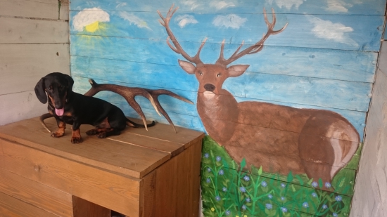 ATOS a jeho nový spolubývajúci :)