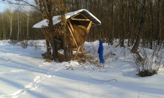 Prikrmovanie