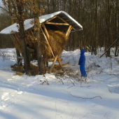 Prikrmovanie