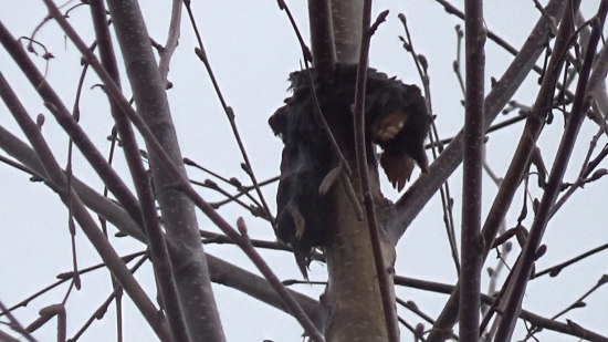 Mal naopak plánik chodby.