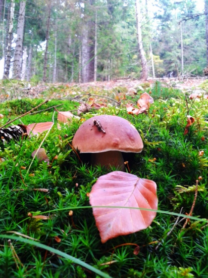 Ani zima ho neodradí .