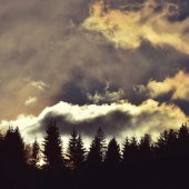 čaro zimného večera○