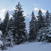 nedeľná prechádzka