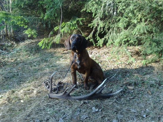 Dnes ráno s Artanom