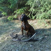 Dnes ráno s Artanom