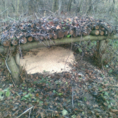 Kŕmenie