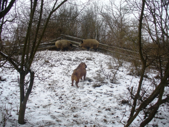 1 Egon Kľušov 5 mesiace