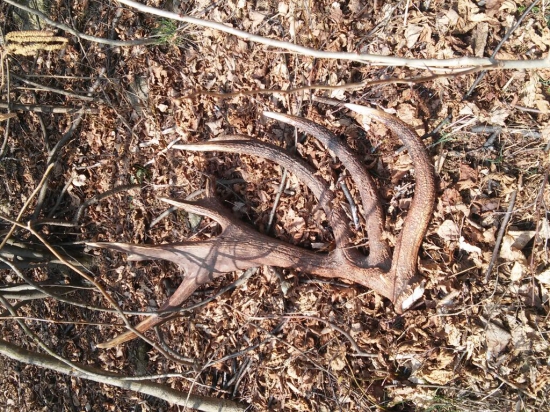 Jeden z tých väčších.