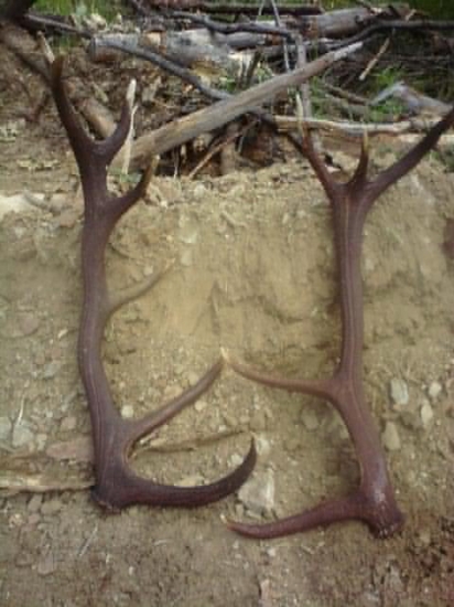 Dnešné štastie pri práci...