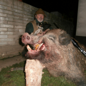 kňour  ve Strážnici