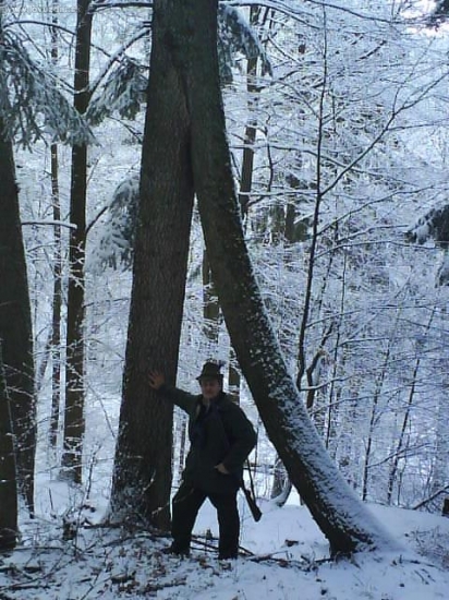 dva korene jeden strom