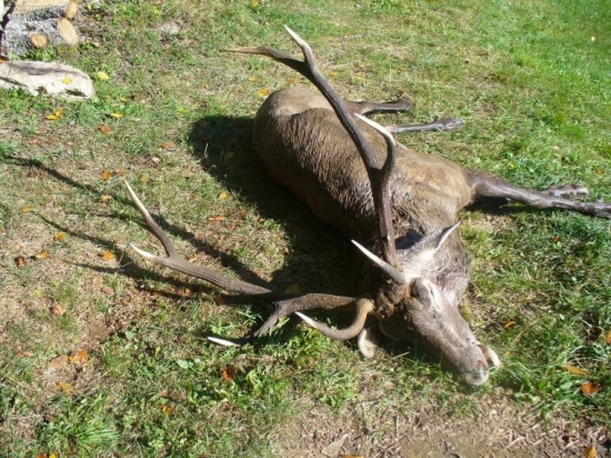Kamarátov nepravideľný desatorák