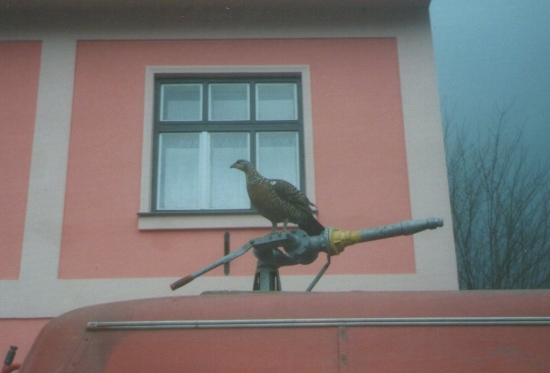 Lietala po strechách v obci.