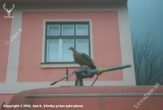 Lietala po strechách v obci.