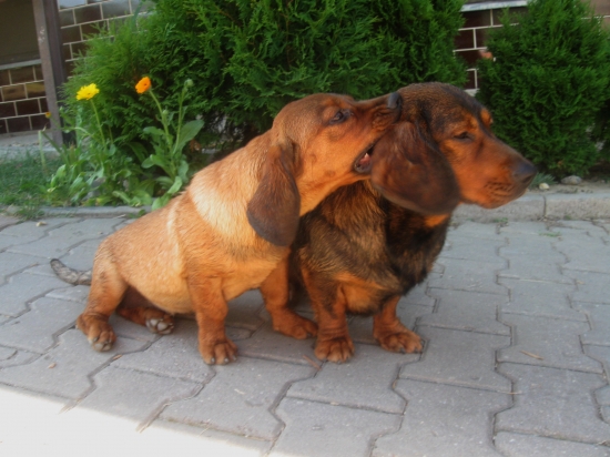 Mladá si dovoľuje :)