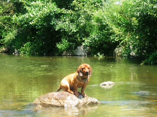 Pri vode je najlepšie...