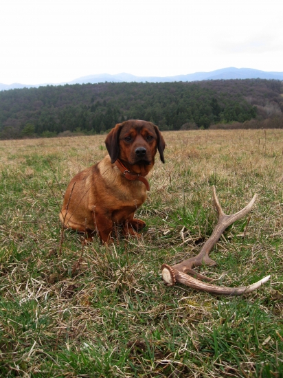 Odmena po tréningu :)