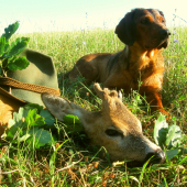 V ranných lúčoch...