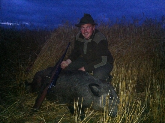 Na pokosenom strnisku