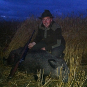 Na pokosenom strnisku