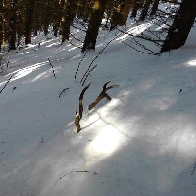 Takto si tam lezal na slniecku