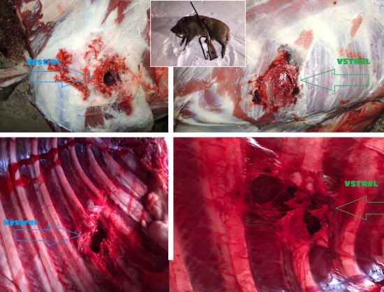 Brenneke tog na - 8x57