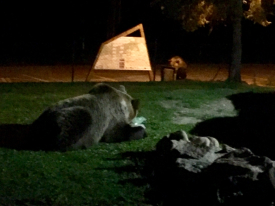Kontaktná ZOO T.Lomnica