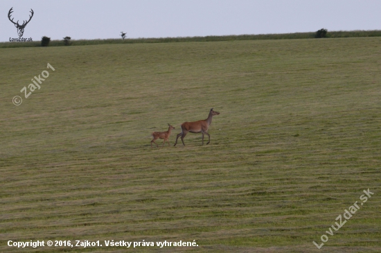 Mamka a dcérka