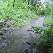 bola to cesticka... už je to potôčik...