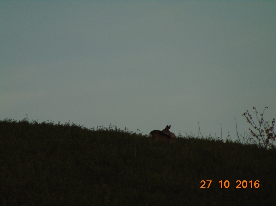 na horizonte