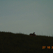 na horizonte