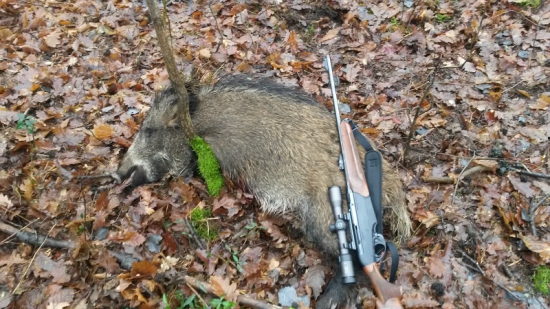 spoločna