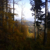 Jeseň vo Volovských vrchoch