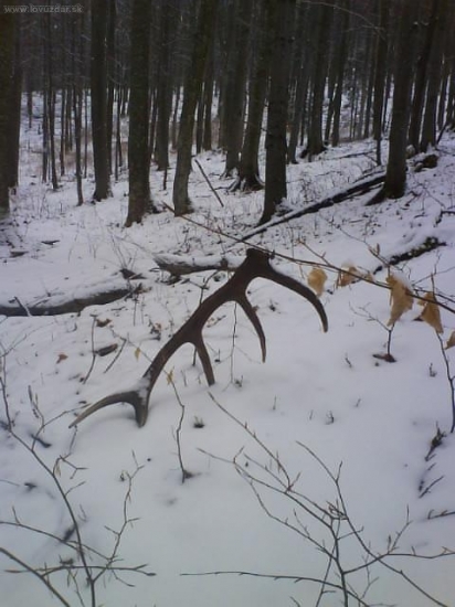 Dnešné prekvapenie