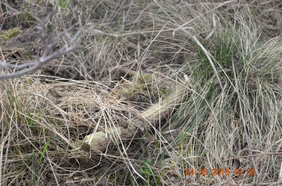 2/2016 - Tri roky na mňa čakal