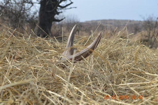 3/2016 - Skrytý, neskrytý - idem!
