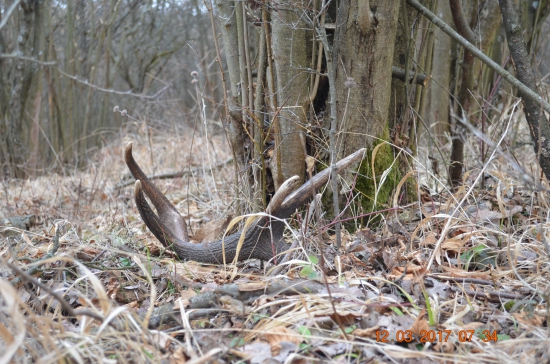 3/2017 - Čerstvé šťastie