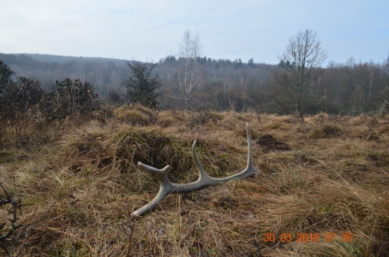1/2018 - Vlaňajší na Veľký piatok