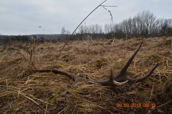 2/2018 - O rok starší 1/2018