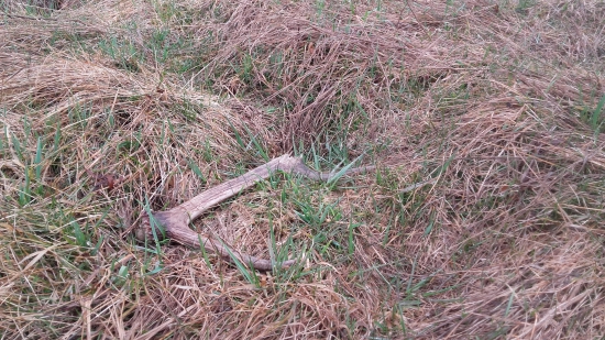 3/2018 - V daždi aspoň do počtu