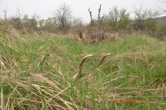 5/2018 - Čerstvý osmák
