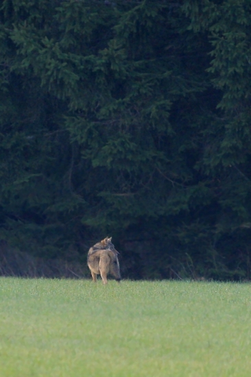 takýto pohľad nie je každý deň ....