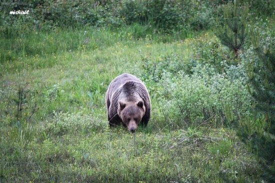 Musím trocha zhodiť....