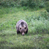 Musím trocha zhodiť....